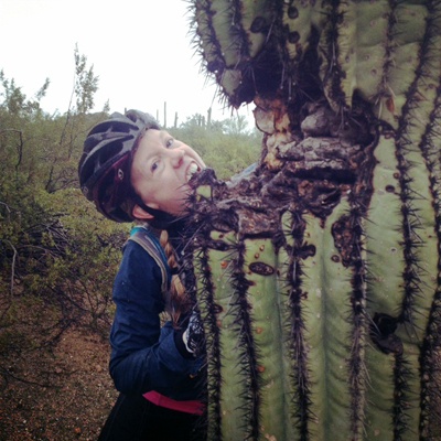 disa biting a cactus