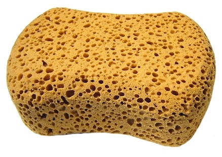 sponge (vicose)