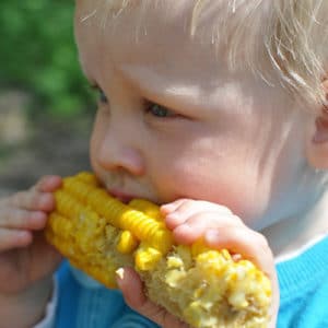 closeup of a toddler eating corn on the cob