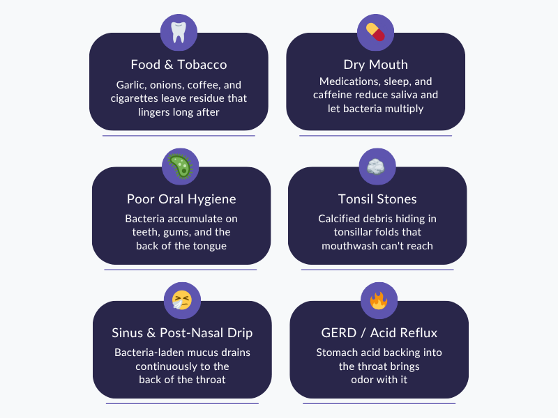 Six common causes of bad breath including food, tobacco, dry mouth, tonsil stones, sinus issues, and GERD — Drews Dental Lewiston Maine
